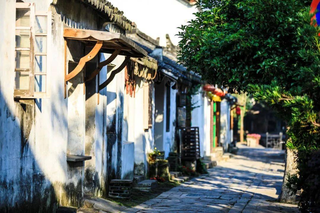 道奇蝰蛇找不同
